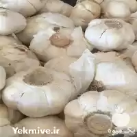 قیمت خرید سیر تازه با بهترین در همدان در گروه خرید و فروش سیر در یکمیوه