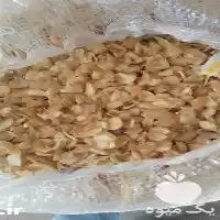 فروش قیمت عمده سیر خشک تازه در اهواز در گروه خرید و فروش سیر در یکمیوه