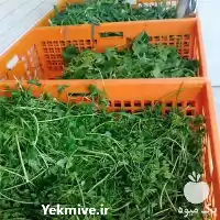 قیمت خرید سبزیجات آماده در گروه خرید و فروش سبزیجات در یکمیوه