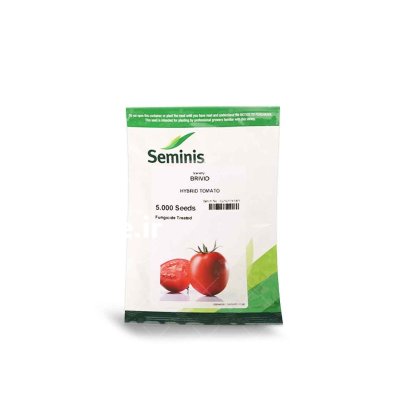 قیمت بذر گوجه بریویو تضمین شده در ارسنجان در گروه خرید و فروش بذر گوجه در یکمیوه -عکس1