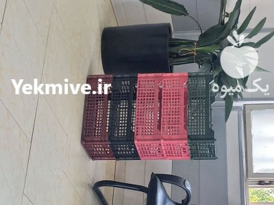 فروش سبد دوردیفه در دماوند در گروه خرید و فروش انواع سبد در یکمیوه -عکس2