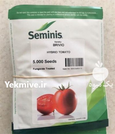 قیمت بذر گوجه بریویو انواع بذر در گروه خرید و فروش بذر گوجه در یکمیوه -عکس1