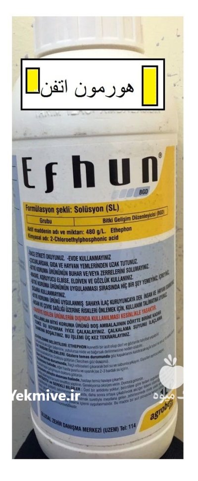 فروش هورمون اتفن در بلداجی در گروه خرید و فروش انواع سم در یکمیوه -عکس1