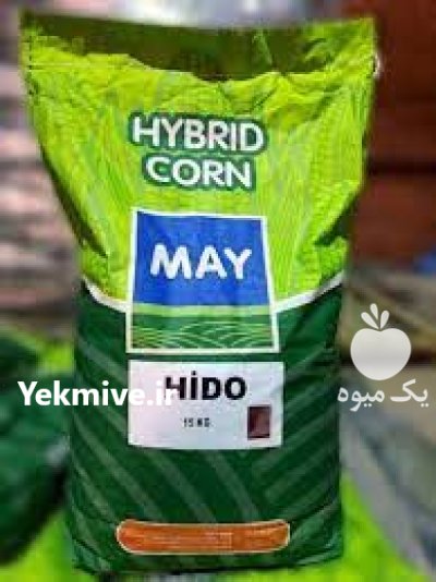 فروش بذر ذرت مای با کیفیت در بروجرد در گروه خرید و فروش بذر ذرت در یکمیوه -عکس2