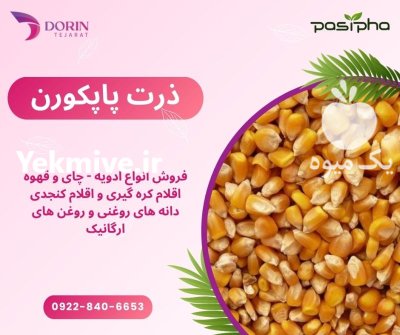 فروش ذرت پاپکرن تازه در تهران در گروه خرید و فروش ذرت در یکمیوه -عکس1
