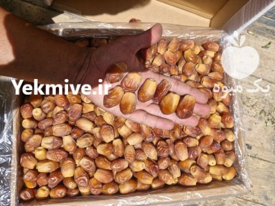 خرما زاهدی قیروکارزین قیمت خرمای قیروکارزین در ایلام در گروه خرید و فروش خرما در یکمیوه -عکس2
