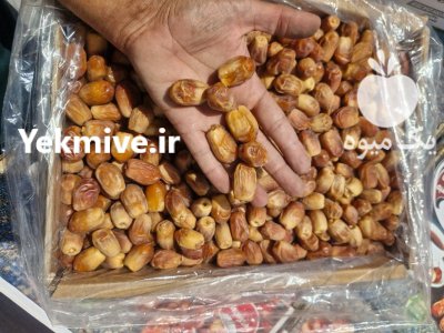خرما زاهدی قیروکارزین قیمت خرمای قیروکارزین در ایلام در گروه خرید و فروش خرما در یکمیوه -عکس3