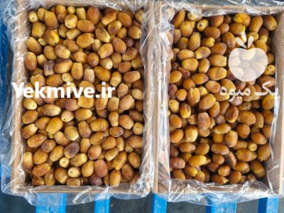 خرما زاهدی قیروکارزین قیمت خرمای قیروکارزین در ایلام در گروه خرید و فروش خرما در یکمیوه -عکس4