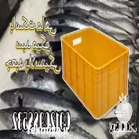 فروش سبد ماهی میگو سبد خرما رطب در اهواز در گروه تجهیزات مرغداری در یکمیوه