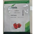 قیمت بذر گوجه بریویو پخش بذر در ارسنجان در گروه خرید و فروش بذر گوجه در یکمیوه