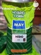 قیمت بذر ذرت مای بذر ذرت در گروه خرید و فروش بذر ذرت در یکمیوه