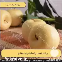 فروش خرید نهال سیب سفید قندی در گروه خرید و فروش نهال میوه در یکمیوه