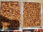 خرما زاهدی قیروکارزین قیمت خرمای قیروکارزین در ایلام