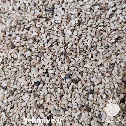 فروش عرضه عمده خرده کنجد خام در یزد در گروه خرید و فروش دانه های روغنی در یکمیوه -عکس1