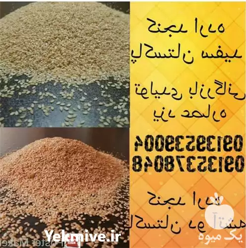 قیمت خرید عمده خرده کنجد دانه در یزد در گروه خرید و فروش دانه های روغنی در یکمیوه -عکس1