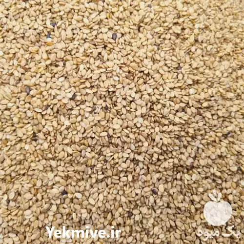 فروش عمده خرده کنجد ارده پاکستانی در یزد در گروه خرید و فروش دانه های روغنی در یکمیوه -عکس1