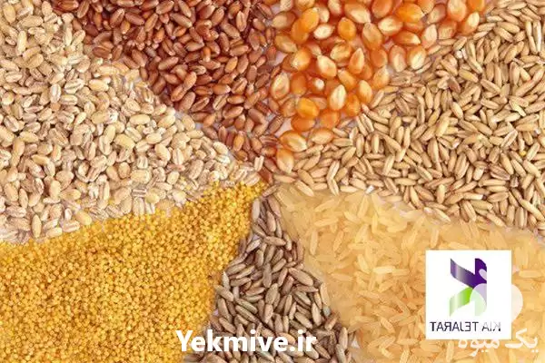 ذرت علوفه قیمت خرید جو در شیراز در گروه خوراک دام و طیور در یکمیوه -عکس1