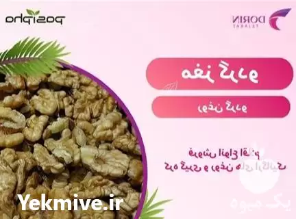فروش مغز گردو و فروش روغن در گروه خرید و فروش گردو در یکمیوه -عکس1