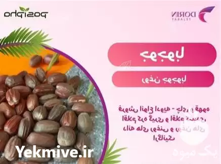 فروش جوجوبا و فروش روغن جوجوبا در تهران در گروه خرید و فروش انواع روغن در یکمیوه -عکس1
