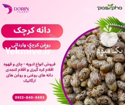 فروش کرچک و فروش روغن کرچک در ری  در گروه خرید و فروش انواع روغن در یکمیوه -عکس1