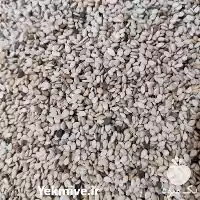 فروش عرضه عمده خرده کنجد خام در یزد در گروه خرید و فروش دانه های روغنی در یکمیوه