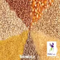 ذرت علوفه قیمت خرید جو در شیراز در گروه خوراک دام و طیور در یکمیوه