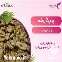 فروش مغز گردو و فروش روغن در گروه خرید و فروش گردو در یکمیوه