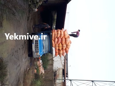 فروش پوست بادام زمینی قیمت عالی در آستانه اشرفیه در گروه خرید و فروش بادام در یکمیوه -عکس1