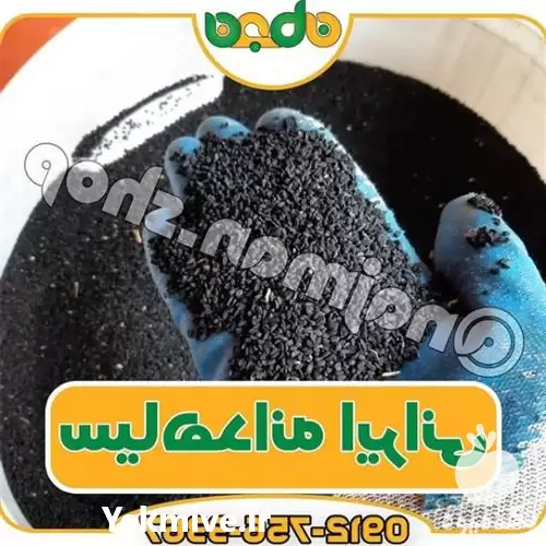 قیمت خرید عمده سیاه دانه ایرانی در تهران در گروه خرید و فروش گیاهان دارویی در یکمیوه -عکس1