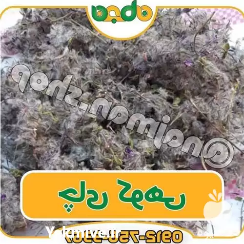 قیمت خرید عمده چای کوهی در تهران در گروه خرید و فروش چای در یکمیوه -عکس1