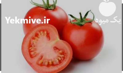 فروش گوجه فرنگی صادراتی در گروه خرید و فروش گوجه فرنگی در یکمیوه -عکس1