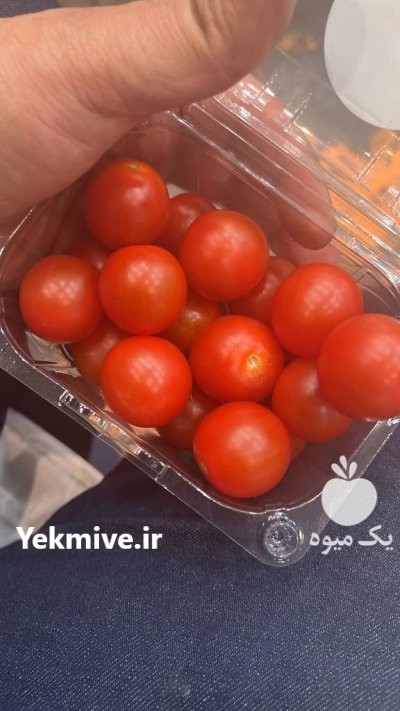 گوجه چری گیلاسی در شهرضا در گروه خرید و فروش گوجه فرنگی در یکمیوه -عکس1