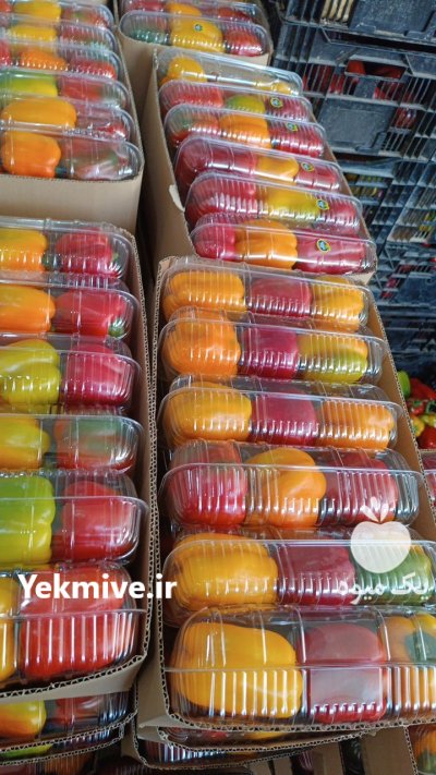 فلفل دلمه درجه 2 در اصفهان در گروه خرید و فروش فلفل در یکمیوه -عکس1