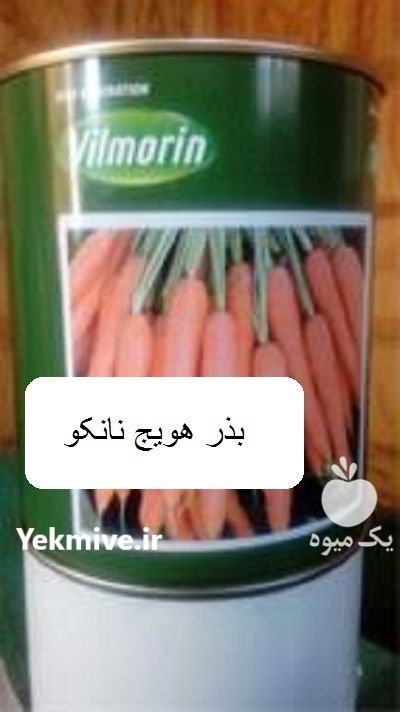 فروش بذر هویج نانکو در امام شهر در گروه خرید و فروش بذر هویج در یکمیوه -عکس1