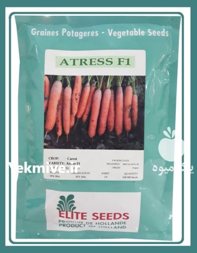 بذر هویج الیت سیدز در سلفچگان در گروه خرید و فروش بذر هویج در یکمیوه -عکس1