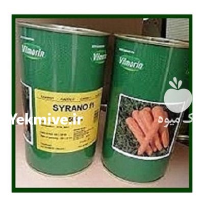 بذر هویج سیرانو در آبش احمد در گروه خرید و فروش بذر هویج در یکمیوه -عکس1