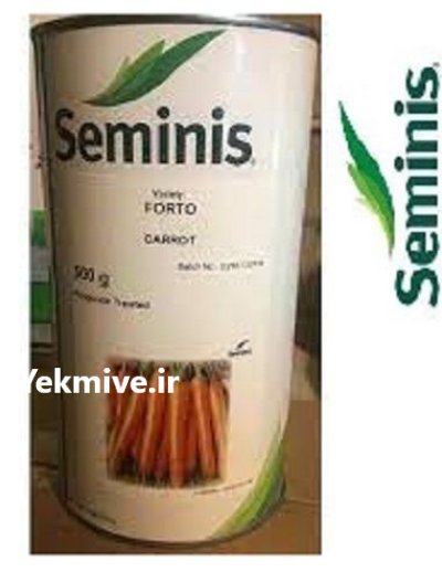 بذر هویج فورتو در آبدانان در گروه خرید و فروش بذر هویج در یکمیوه -عکس1