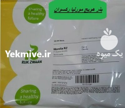 بذر هویج مورلیا رکسوان در اسیر در گروه خرید و فروش بذر هویج در یکمیوه -عکس1