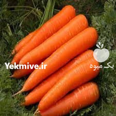 بذر هویج نانتس OE دانمارک در استهبان در گروه خرید و فروش بذر هویج در یکمیوه -عکس1