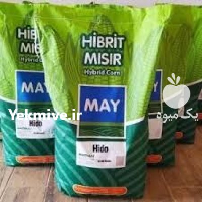 بذر ذرت مای هیدو با فروش در شاهین شهر در گروه خرید و فروش بذر ذرت در یکمیوه -عکس1
