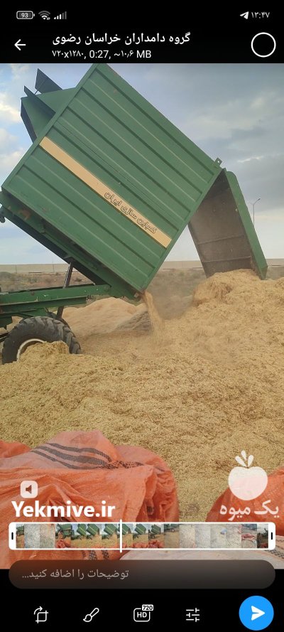 کاه کوبیده گندم دیمه در مشهد در گروه خوراک دام و طیور در یکمیوه -عکس1