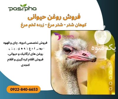 فروش روغن حیوانی فروش روغن کوهان در ری  در گروه خرید و فروش انواع روغن در یکمیوه -عکس1