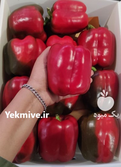 فلفل دلمه رنگی در یزد در گروه خرید و فروش فلفل در یکمیوه -عکس1