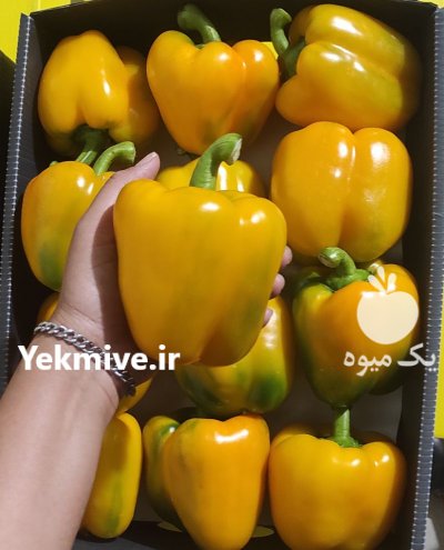 فروش فلفل دلمه رنگی در یزد در گروه خرید و فروش فلفل در یکمیوه -عکس1
