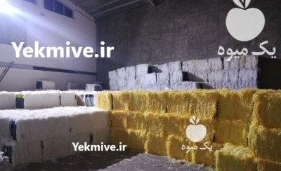 مرکز خرید فروش انواع پوشال میوه در گروه انواع بسته بندی محصول در یکمیوه -عکس1