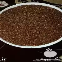 خرید و فروش کنجد در گروه خرید و فروش دانه های روغنی در یکمیوه