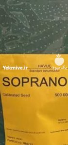 فروش بذر هویج سوپرانو ویلمورین در گروه خرید و فروش بذر هویج در یکمیوه