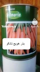 فروش بذر هویج نانکو در امام شهر در گروه خرید و فروش بذر هویج در یکمیوه