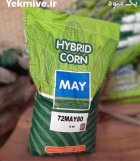 بذر ذرت علوفه ای در قزوین در گروه خرید و فروش بذر ذرت در یکمیوه