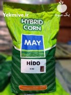 ذرت علوفه ای هیدو مای در تاکستان در گروه خرید و فروش بذر ذرت در یکمیوه